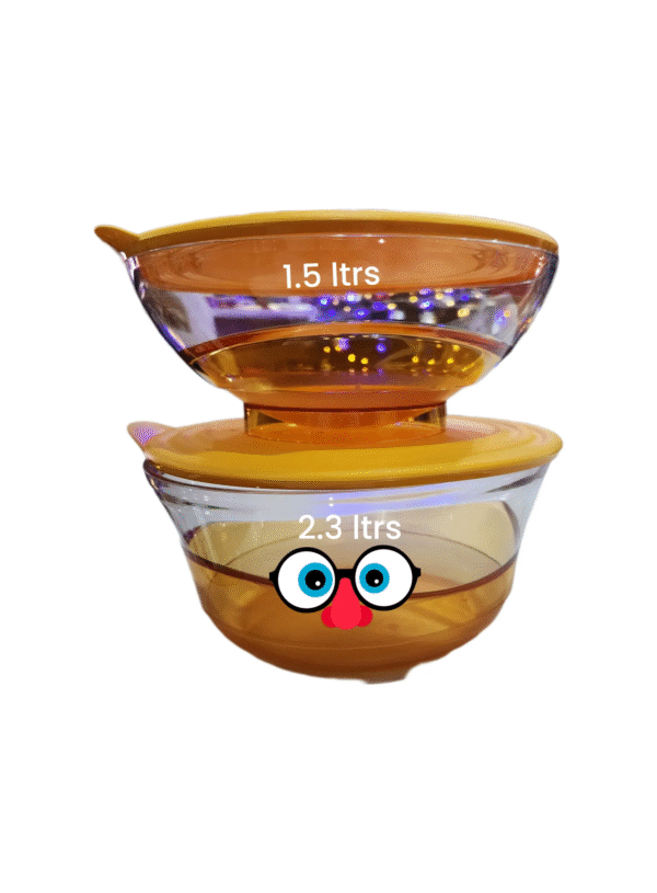 Set Luxury Tupperware 1.5 y 2.3 lts
